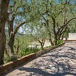 Villa des Oliviers